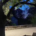 Lavandin 1 * Allemagne-en-Provence
